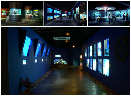 海南岛第一座海洋科普教育馆-【博鳌西沙海洋馆】